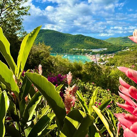 Au Jardin Des Colibris Ecolodge&Spa Deshaies Exterior foto