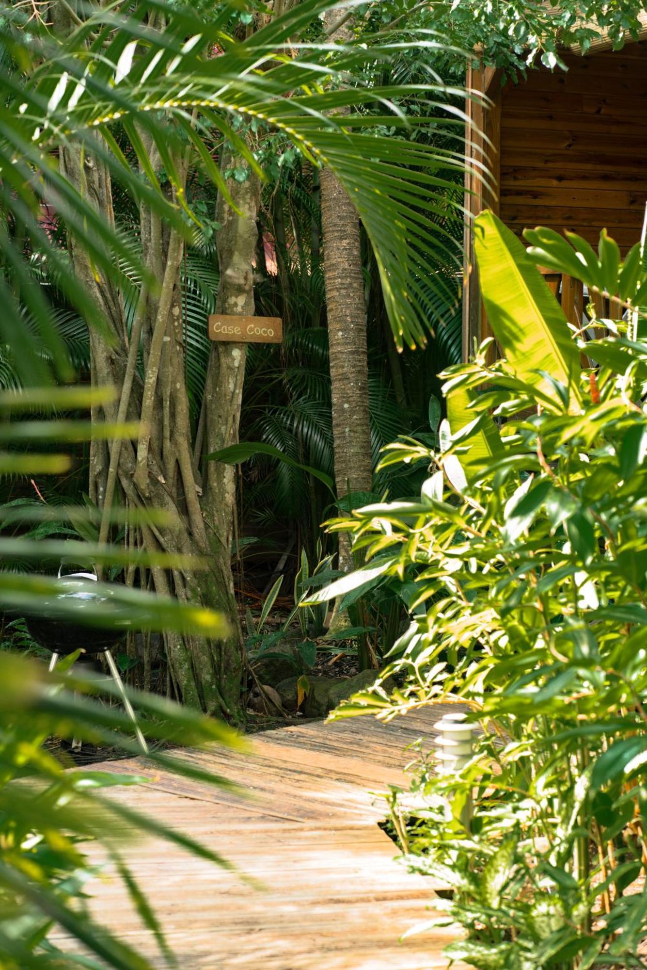 Au Jardin Des Colibris Ecolodge&Spa Deshaies Exterior foto