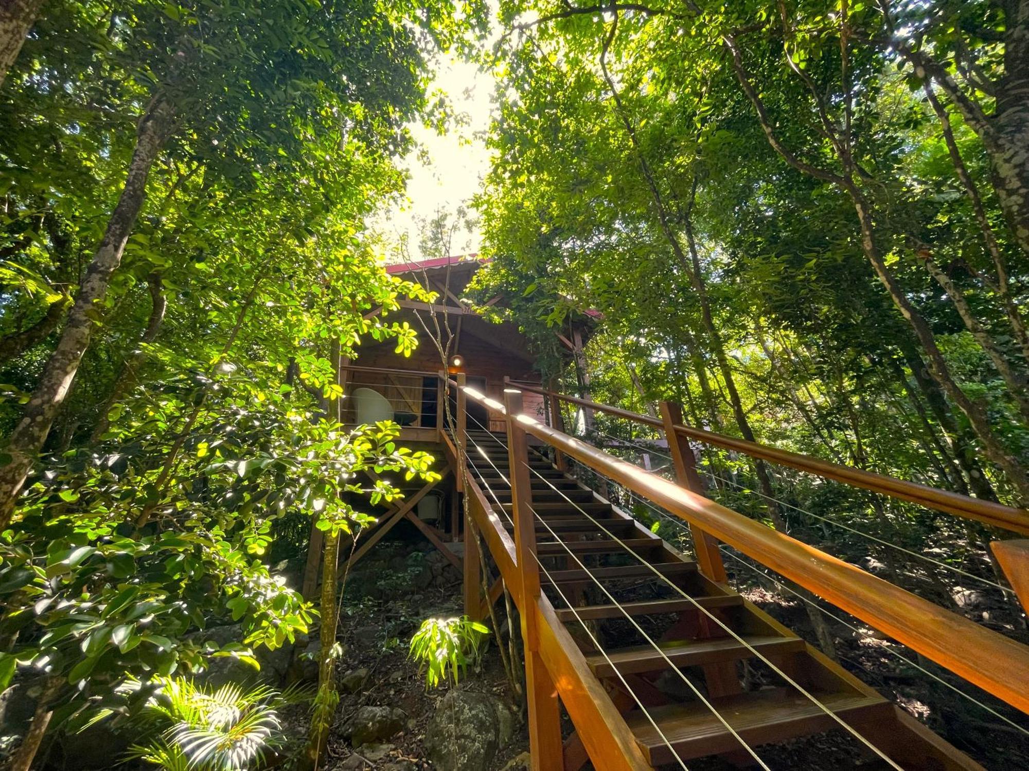 Au Jardin Des Colibris Ecolodge&Spa Deshaies Exterior foto